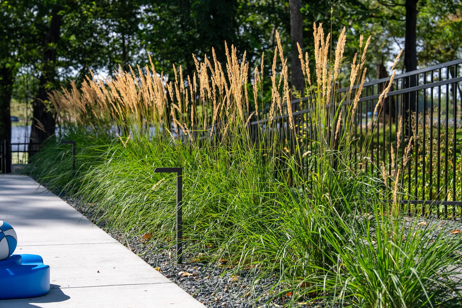 The Sustainable Modern - photo 13, Schifsky Companies in Shakopee, MN